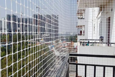 Bird Net Surat