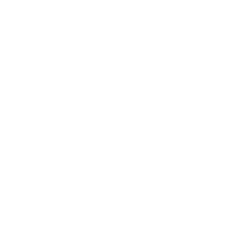 Our Team